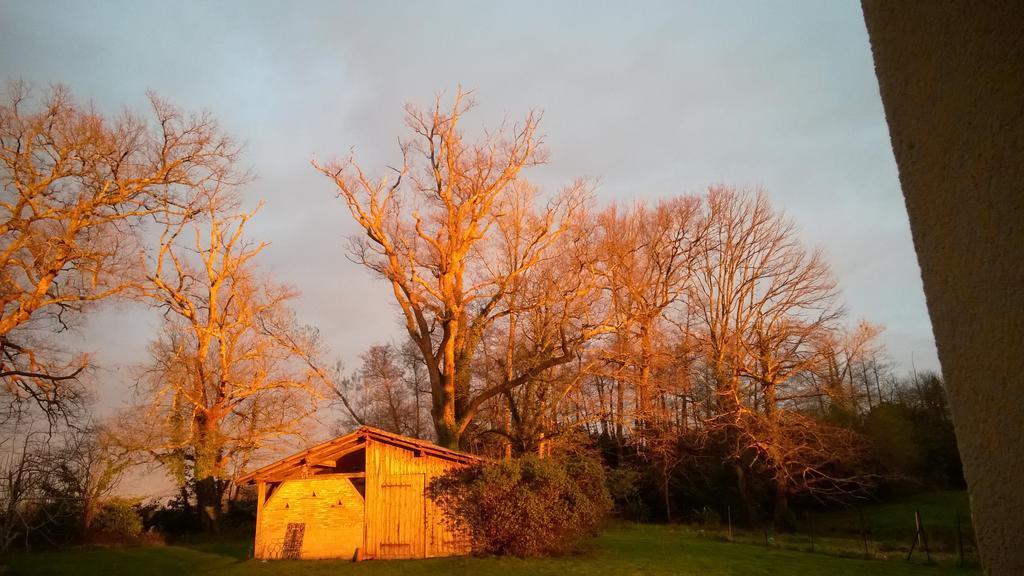 Castel La Bergerie Bed and Breakfast Laglorieuse Buitenkant foto